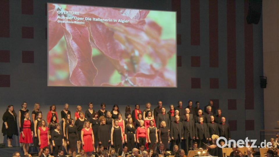 „Singing Witt“ und die Hofer Symphonikern begeistern das Weidener Publikum. Bild: fsb