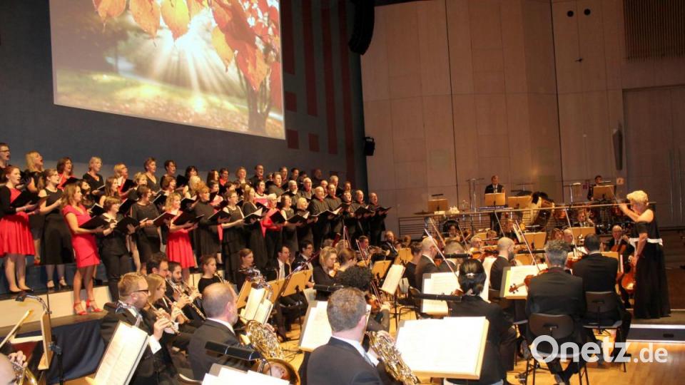 „Singing Witt“ und die Hofer Symphonikern begeistern das Weidener Publikum. Bild: fsb