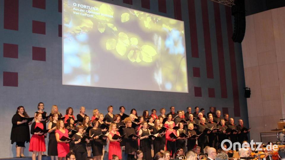 „Singing Witt“ und die Hofer Symphonikern begeistern das Weidener Publikum. Bild: fsb