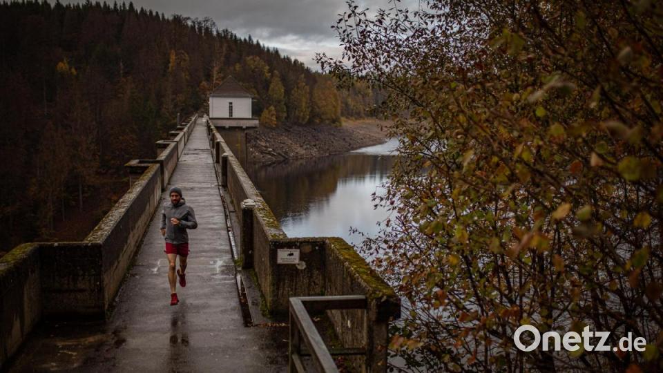 Walrun durch die Natur. Bild: Philipp Reiter/ @philippreiter007