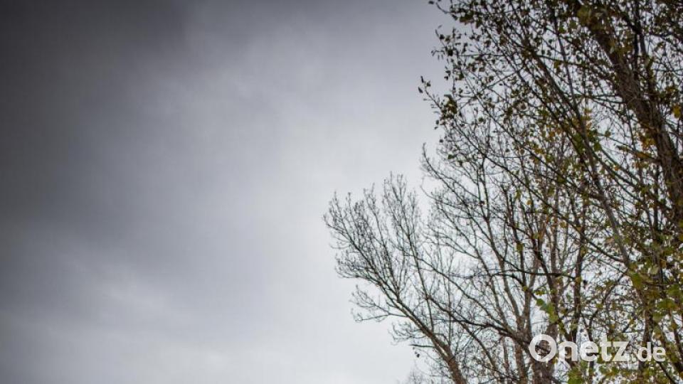 Wallrun: Maximilian Zeus entlang der ehemaligen deutsch-deutschen Grenze Bild: Würth, Wolfgang