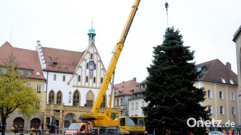 Der Weihnachtsbaum für den Marktplatz wird angeliefert. Bild: Stephan Huber