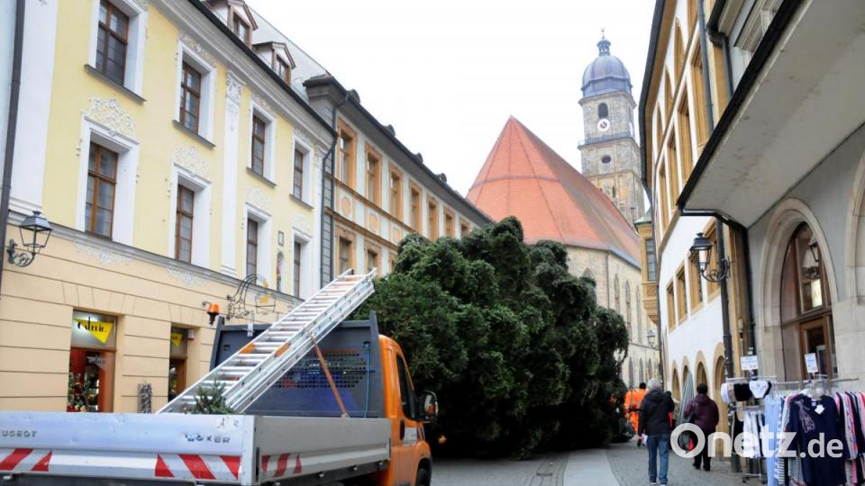 Der Weihnachtsbaum für den Marktplatz wird angeliefert. Bild: Stephan Huber