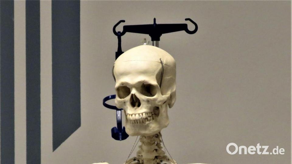 Oskar, das Krankenhaus-Skelett, lächelte zur Feier des Tages besonders freundlich. Bild: ubb