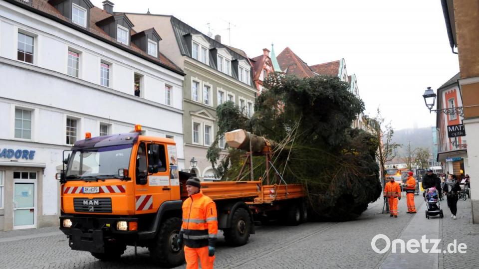 Der Weihnachtsbaum für den Marktplatz wird angeliefert. Bild: Stephan Huber
