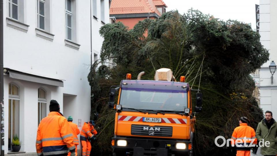 Der Weihnachtsbaum für den Amberger Marktplatz wird angeliefert. Bild: Stephan Huber