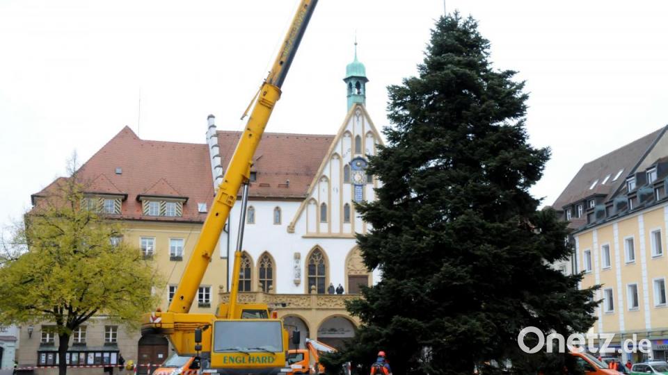 Da steht er und kann nicht anders: Der Weihnachtsbaum am Amberger Marktplatz. Bild: Stephan Huber