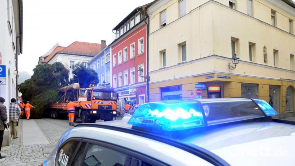Der Weihnachtsbaum für den Amberger Marktplatz wird angeliefert. Bild: Stephan Huber
