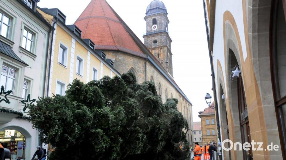 Der Weihnachtsbaum für den Marktplatz wird angeliefert. Bild: Stephan Huber