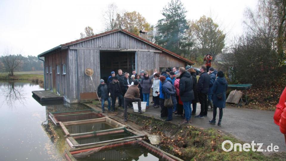 Slow Food zurück im Land der 1000 Teiche (Muckenthal) Bild: wro