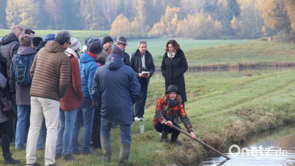 Slow Food zurück im Land der 1000 Teiche (Muckenthal) Bild: wro