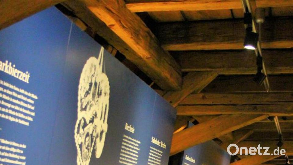 Im Museum gibt es Vitrinen mit ausführlichen Erklärungen. Bild: stg