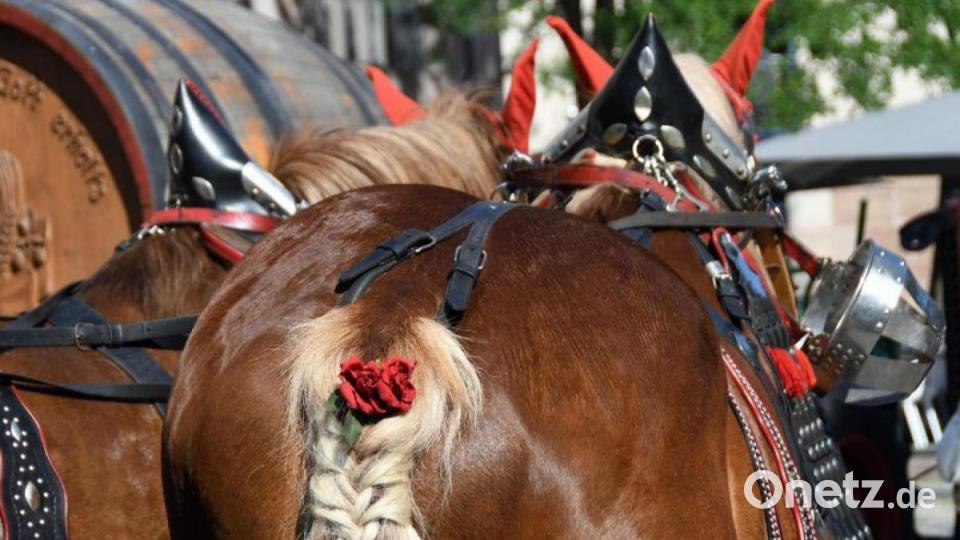 Eine Rose im Pferdeschweif für den besonderen Einsatz Bild: hka