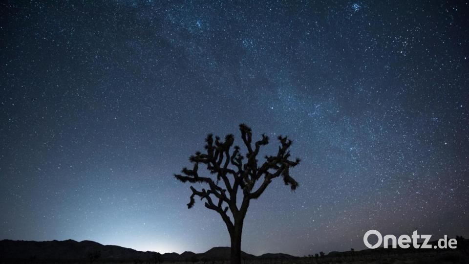 Millionen Sterne funkeln über dem Joshua Tree Nationalpark in Kalifornien. Bild: exb/Florian Westermann