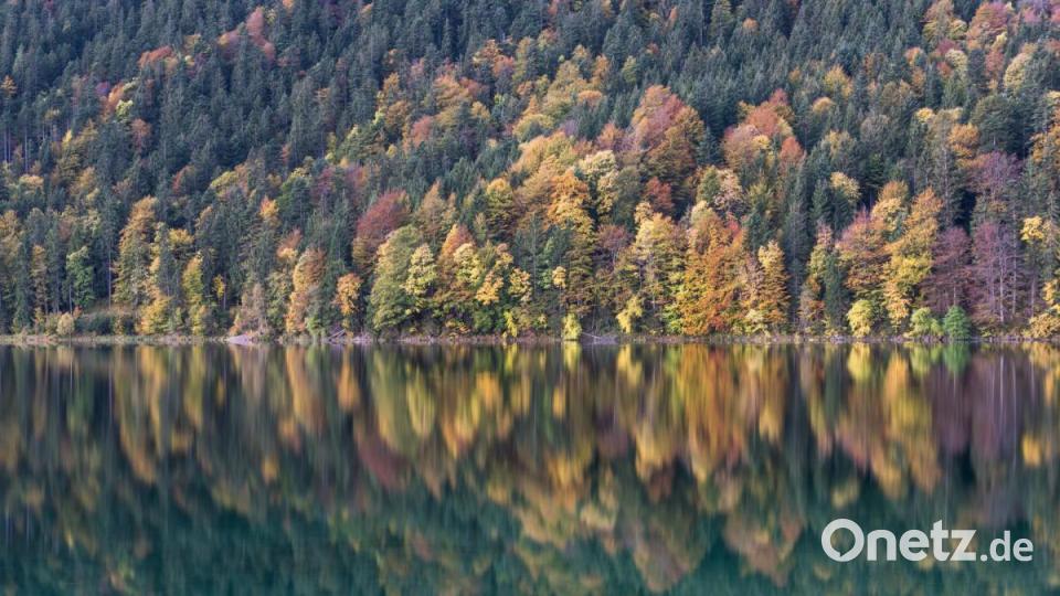 Der Eibsee am Fuße der Zugspitze. Die Bäume leuchten in den schönsten Herbstfarben. Bild: exb/Florian Westermann