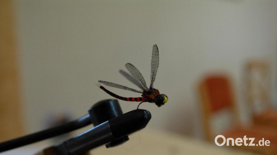 Verführerisch - aber halt nicht echt - eine künstliche Fliege Bild: pop