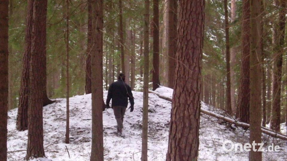 Ein Höhepunkt der Wanderung ist das rund 30 Gräber umfassenden Grabhügelfeld im Salleröder Tal. Besonders im Winter sind die Strukturen gut sichtbar. Archivbild: Josef Schmaußer