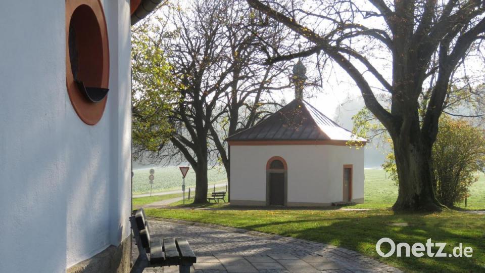 Rund um die Dreifaltigkeitskirche herrscht Naturidylle pur. Ein herrlicher Wald erstreckt sich von Waldsassen aus hinauf zur Kirche. Direkt an der Kappl beginnen sechs wichtige Wanderwege oder führen vorbei – unter anderem der Goldsteig. Bild: Ulla Britta Baumer