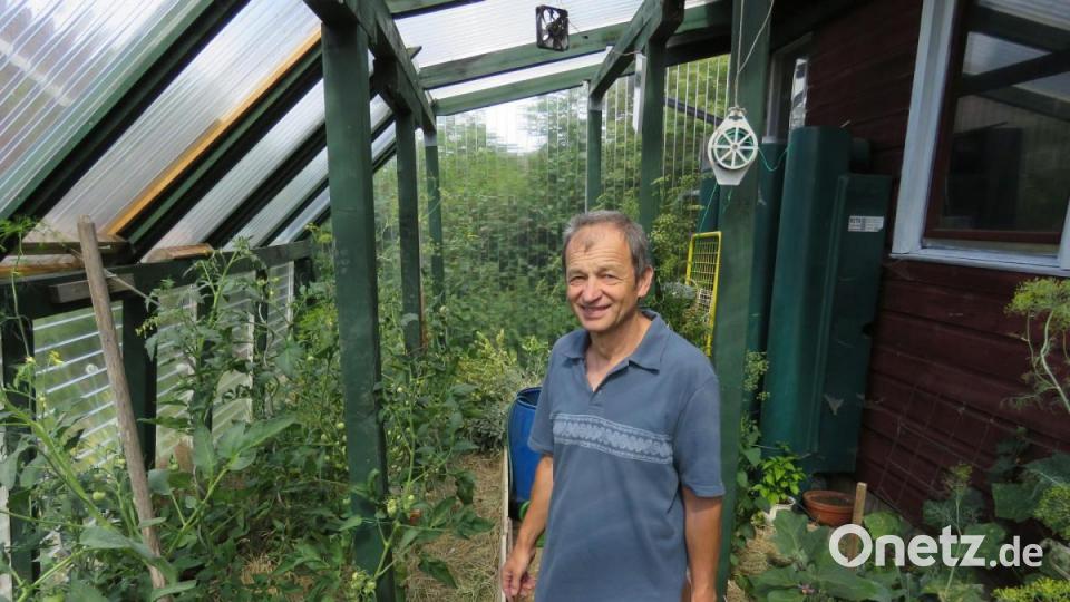 Im Treibhaus des Neusorger Permakultur-Aktivisten Erwin Strama entsteht gerade ein „Dschungel“. Stama sagt, dass die schwarze Erde beste Ergebnisse bringt. Bild: Ulla Britta Baumer