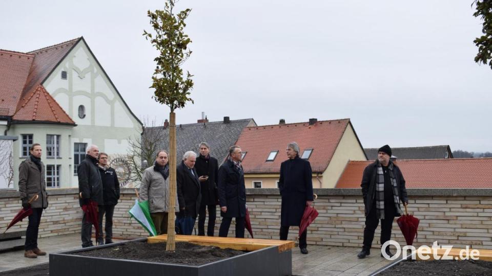 Auch die Außenarbeiten an der Fronfeste nehmen Gestalt an. Die Vorderseite ist bereits ohne Gerüst, der Stadtbalkon wird bepflanzt, die Treppen und der Vorplatz gepflaster. Bild: szl