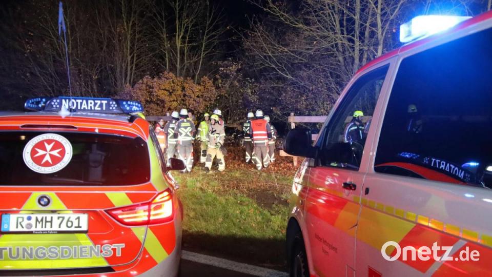Die Feuerwehrmänner suchten bisher vergeblich nach den Ausreißern. Bild: Alexander Auer