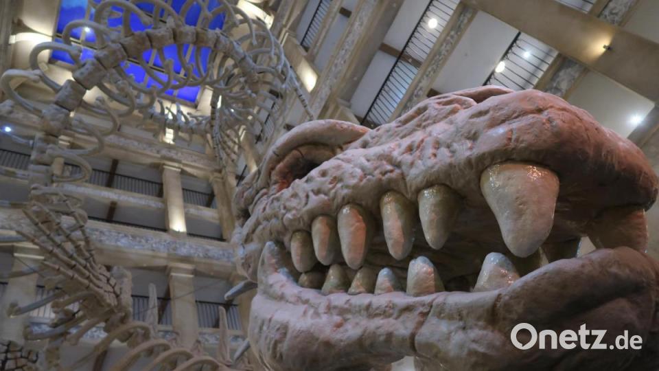 Skelett einer Fantasy-Riesenschlange im Foyer des Hotels „Krønasår". Bild: Kunz