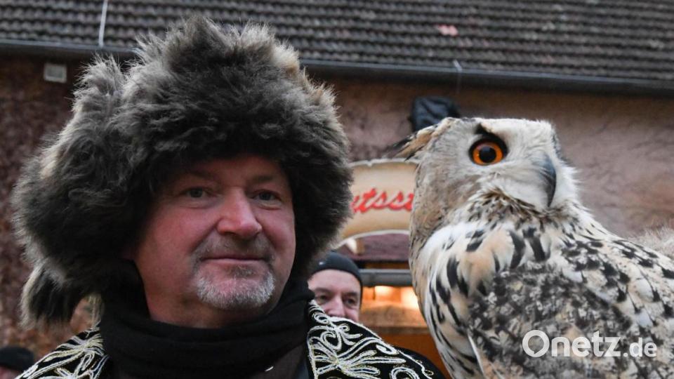 Die Falknerei Kolitsch ist vom Gutenecker Weihnachtsmarkt nicht wegzudenken. Der europäische Uhu sorgt für große Begeisterung. Bild: Freya Stoeckl