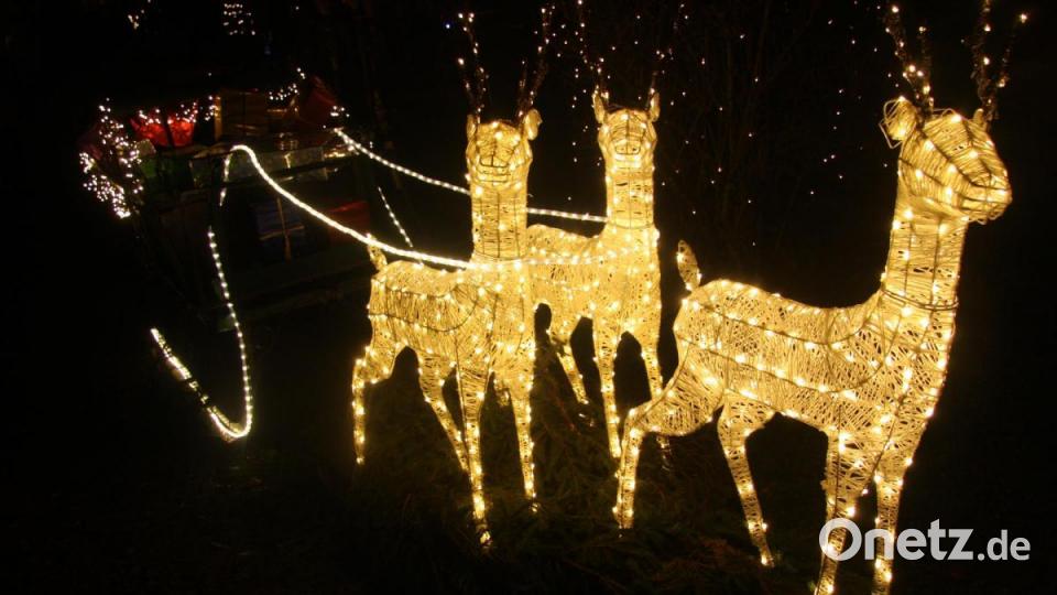 10. Wildenreuther Wintermärchen Bild: wro