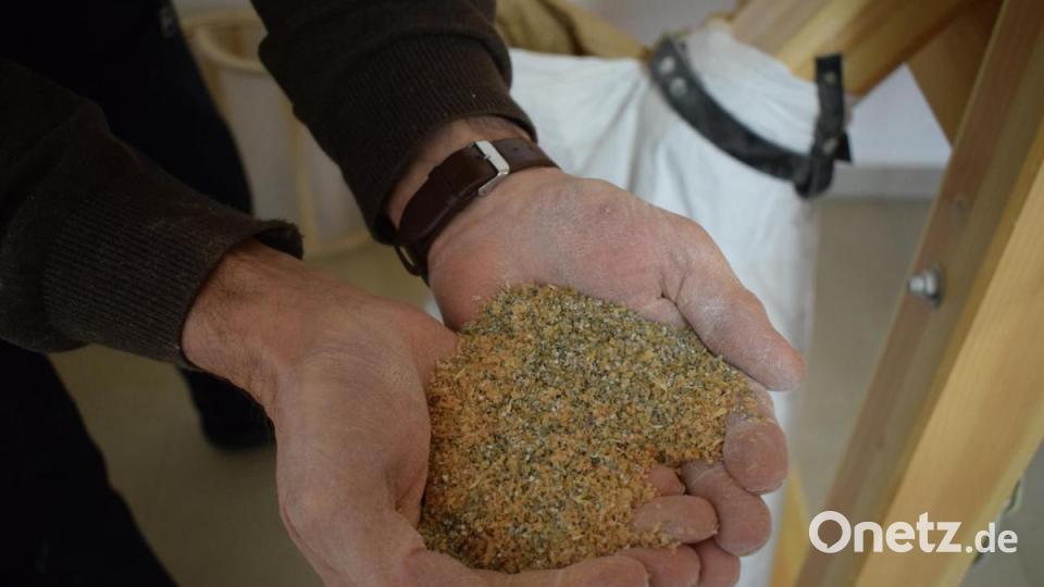 Als Nachprodukt beim Mahlen bleibt Getreidekleie übrig. Die Ausbeute beim Mehl könnte besser sein, findet der Müllermeister. Bild: szl