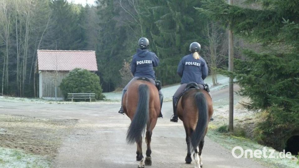 Andrea Scherr wohnte mit ihrer Familie viele Jahre in Oberlangau und unternahm oft Ausritte in die Umgebung. Dort suchten am Mittwoch zwei Polizistinnen der Reiterstaffel Mittelfranken nach der Vermissten. Mit Hermes und Gasparo machten sie sich in den dichten Fichtenwald in Richtung Stückberg auf. Bild: Portner