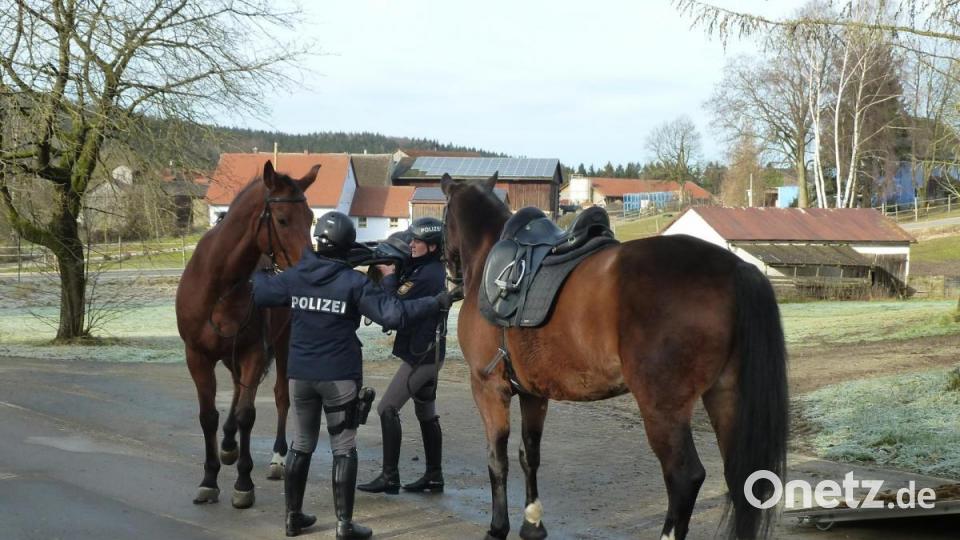 In Sichtweite zum langjährigen Wohnsitz der Vermissten (hinten rechts) werden die beiden Warmblüter für den Ausritt vorbereitet. Bild: Portner