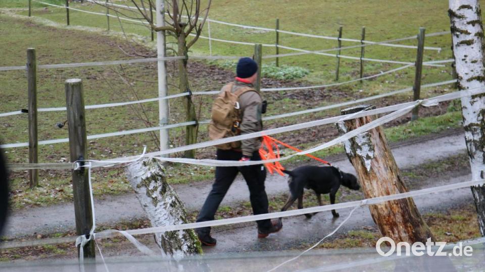 Ein Suchhund aus Amberg konnte auch keine Spur der Vermissten aufnehmen. Bild: Hubert Brunner/Polizei Vohenstrauß