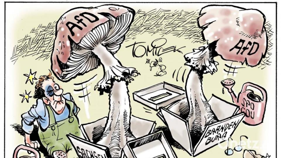 Auch Karikaturist Jürgen Tomicek blickt auf das Jahr 2019 zurück Bild: Jürgen Tomicek