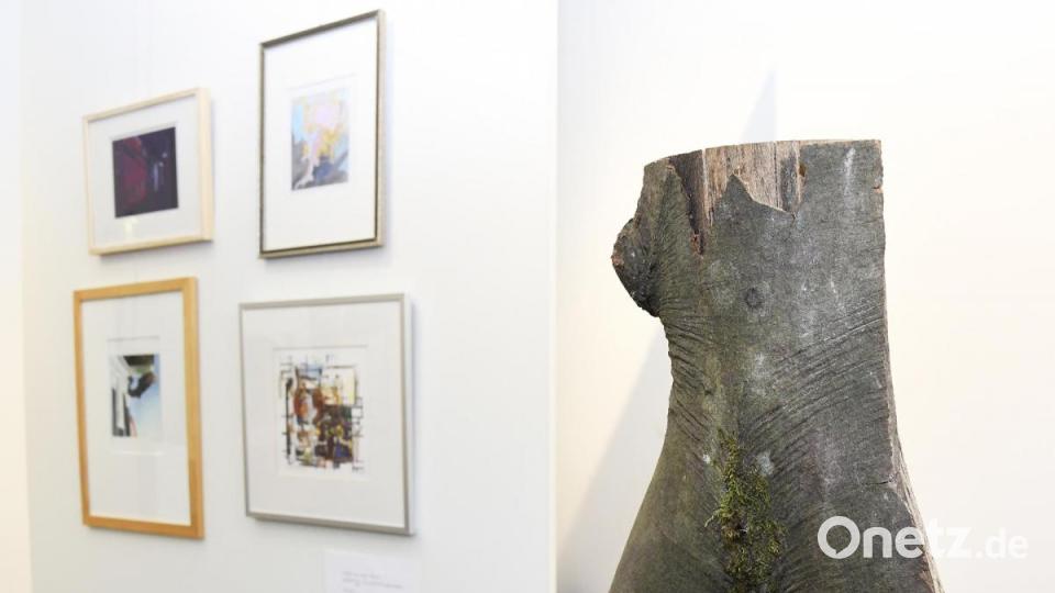 Die Jahresausstellung der Gruppe Amberger Künstler bietet wieder einen bunten Querschnitt durch die städtische Kunstszene Bild: Petra Hartl