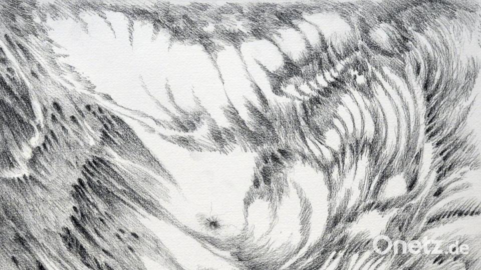 Die Jahresausstellung der Gruppe Amberger Künstler bietet wieder einen bunten Querschnitt durch die städtische Kunstszene Bild: Petra Hartl