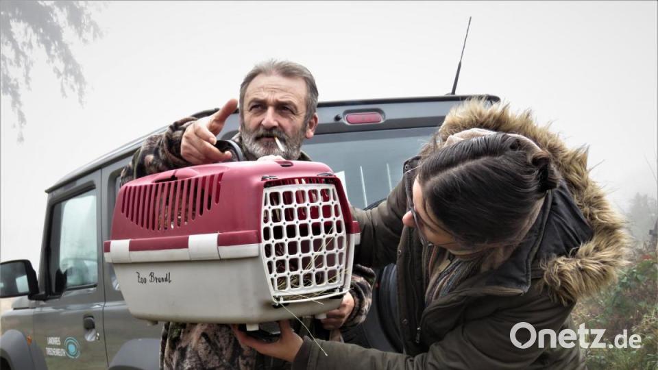 Im Wald angekommen schauen Dieter Brandl und Susanne Pätz, ob bei Sepp noch alles in Ordnung ist. Bild: ubb