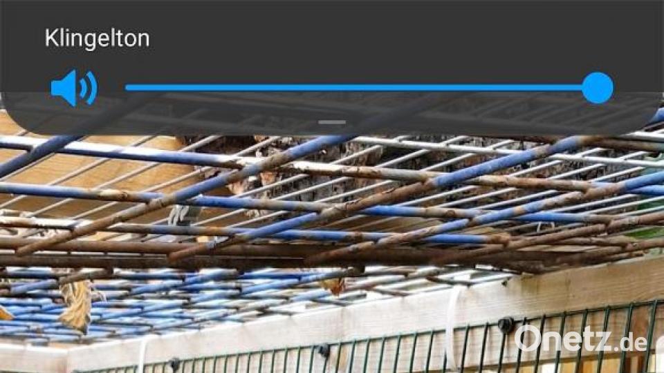 In dieser schönen Voliere hat Sepp 200 Tage bei Dieter Brandl gelebt. Aber das bequeme Leben muss einmal ein Ende haben. Bild: ubb