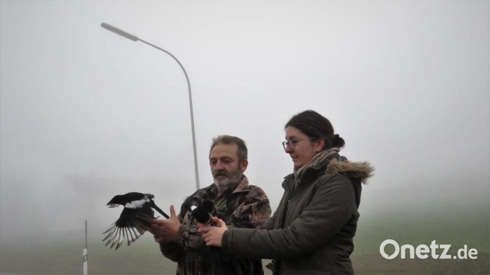 Kaum öffnen Dieter Brandl und Susanne Pätz die Hände, fliegen die Elstern weg. Bild: ubb