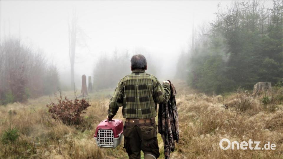 Dieter Brandl trägt den Waldkauz auf die Lichtung, wo er ausgewildert werden soll. Bild: ubb