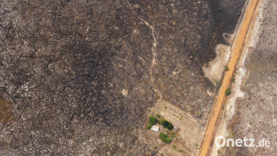 Ein Haus steht inmitten von einem von Waldbränden zerstörten Gebiet. In Südamerika wüten schwere Waldbrände. Vor allem Brasilien, Venezuela, Bolivien und Kolumbien sind von den Feuern betroffen. Bild: Victor R. Caivano/AP/dpa