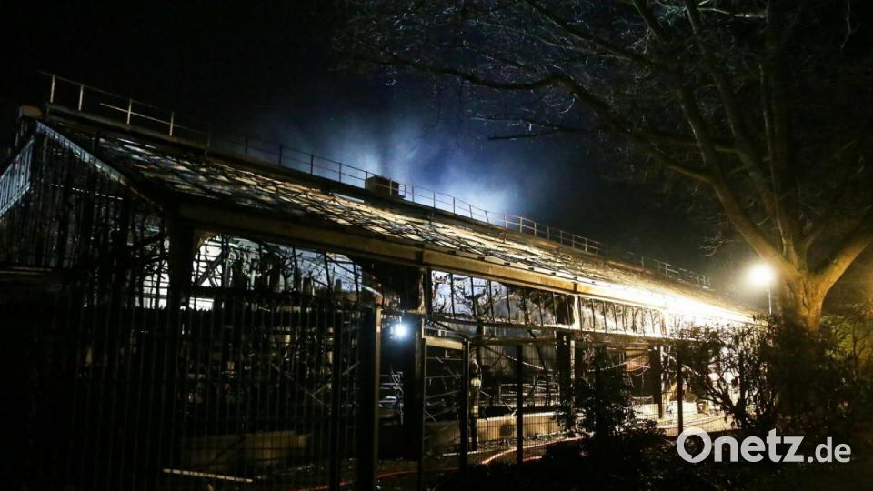 Das Affenhaus des Krefelder Zoos nach dem Brand in der Silvesternacht. Foto: David Young/dpa Bild: David Young