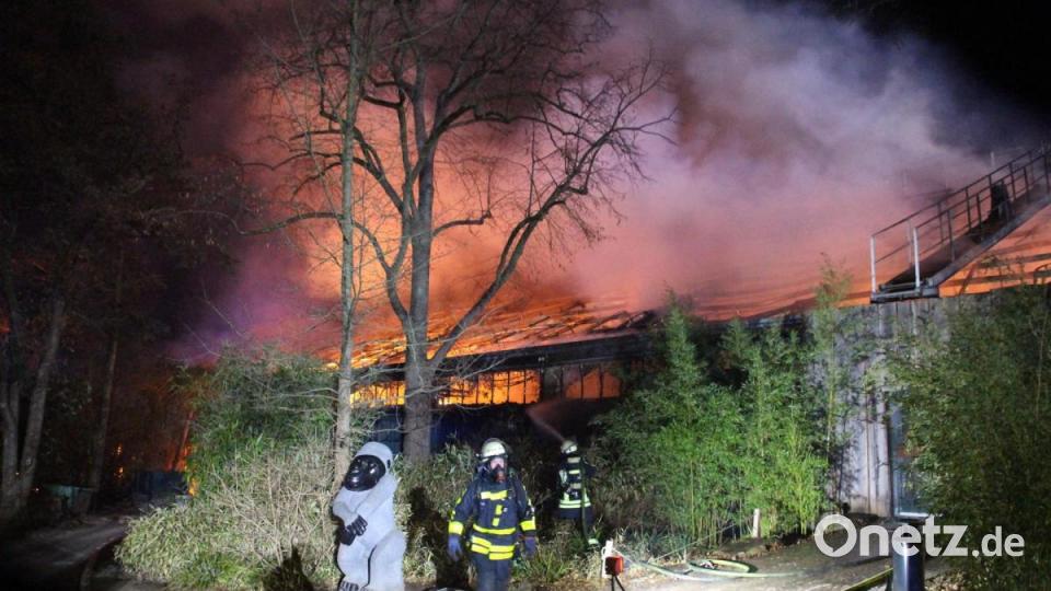 Ein Feuer zerstört in der Silvesternacht das Affenhaus im Krefelder Zoo, für die Tiere kommt jede Hilfe zu spät. Bild: Alexander Forstreuter