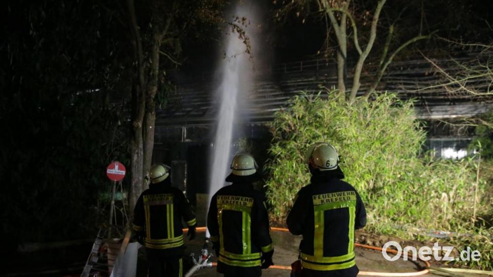 Ein Feuer zerstört in der Silvesternacht das Affenhaus im Krefelder Zoo, für die Tiere kommt jede Hilfe zu spät. Bild: David Young