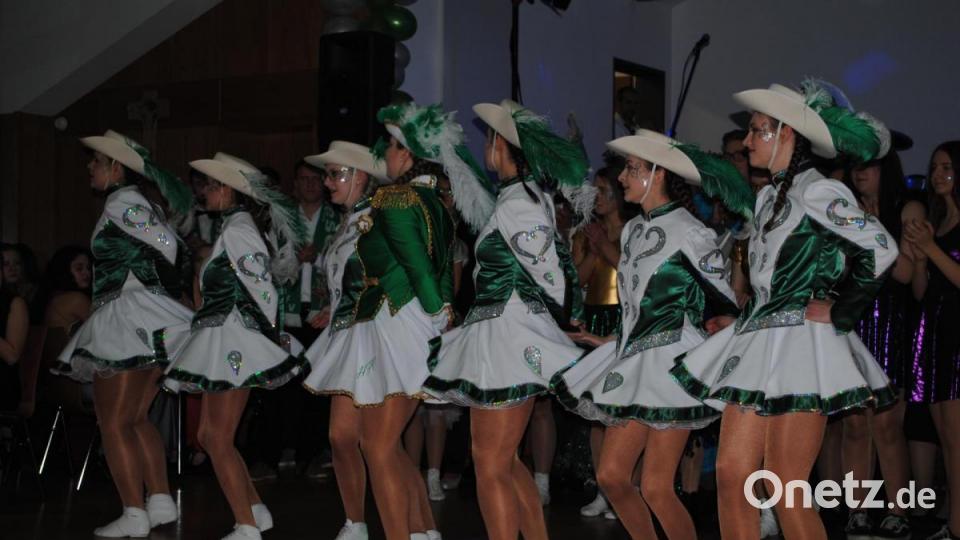 Inthronisationsball des HFV in Parkstein Bild: gag