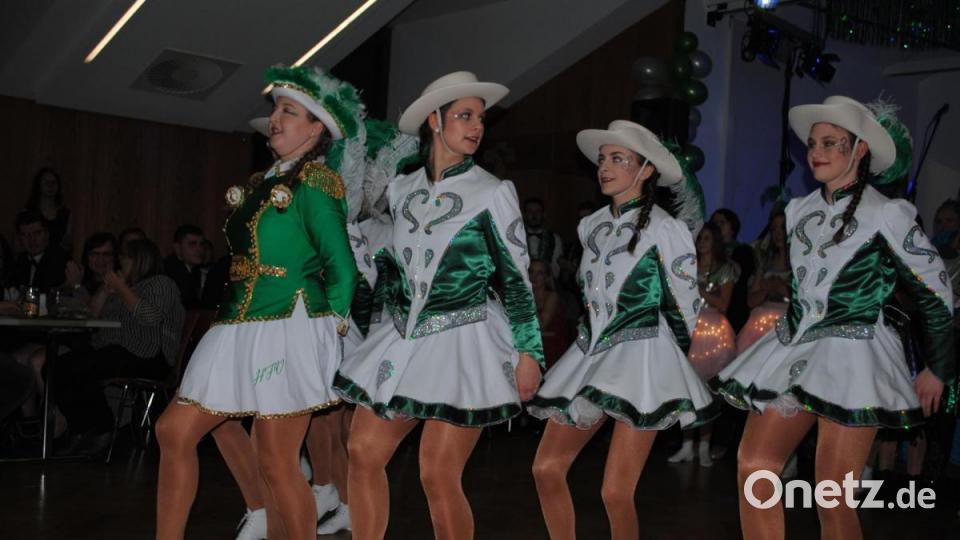Inthronisationsball des HFV in Parkstein Bild: gag