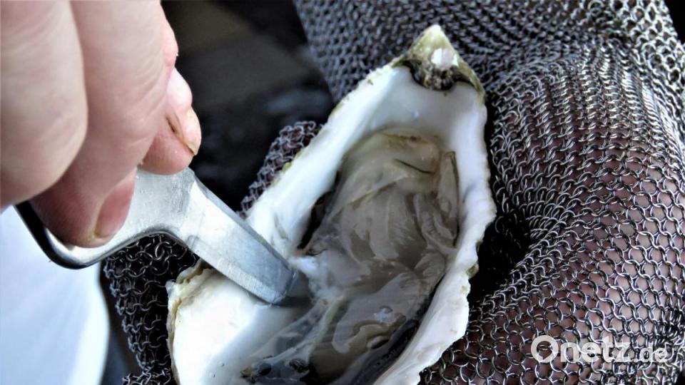 So liegt die Auster in ihrer Muschelschale. Bild: ubb