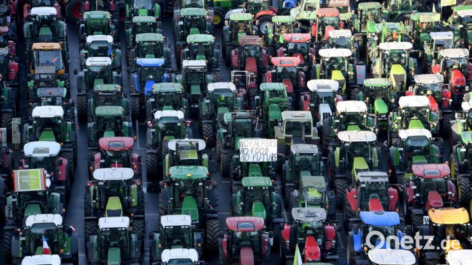 Ordentlich aufgereiht: Hunderte von Traktoren stehen nach einer Sternfahrt auf den Exerzierplatz in Kiel. Foto: Carsten Rehder/dpa Bild: Carsten Rehder