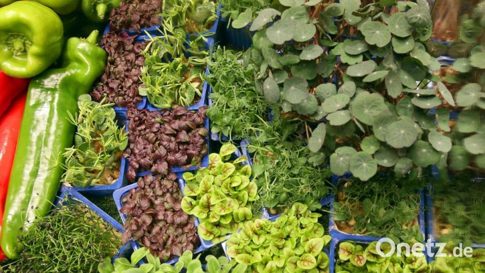 Die weltgrößte Messe für Ernährung, Landwirtschaft und Gartenbau, die Grüne Woche, findet in Berlin statt. Foto: Wolfgang Kumm/dpa Bild: Wolfgang Kumm