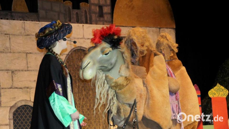 Aladin in Stadthalle Bild: Schönberger, Ferdinand [fsb]