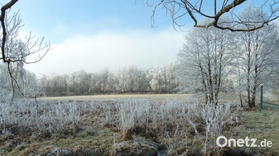 Während die Weiher zugefroren sind, schlängelt sich die Ascha gemütlich durch die Seerosen-Stadt. Bild: Portner